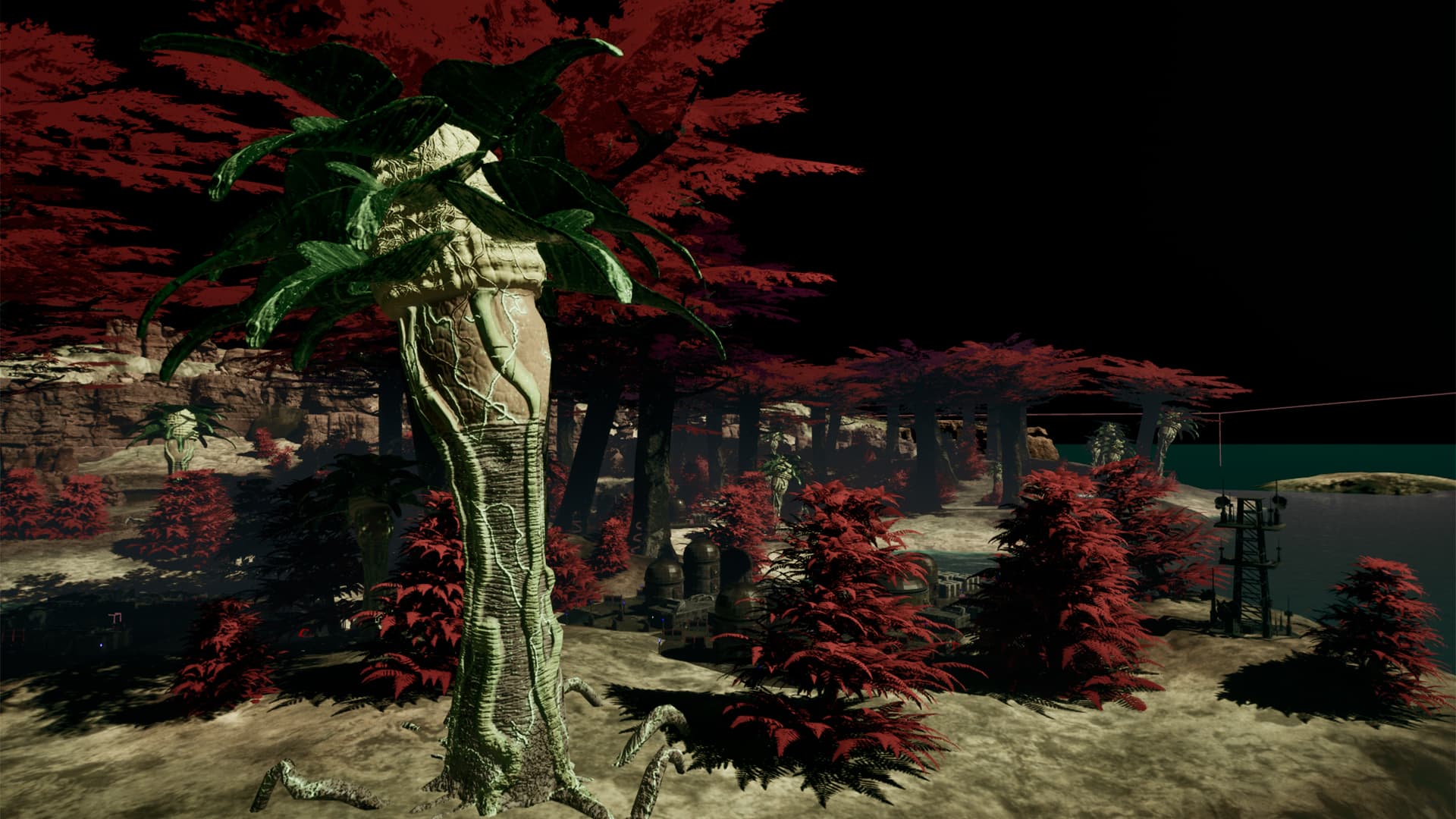 Forest.jpg